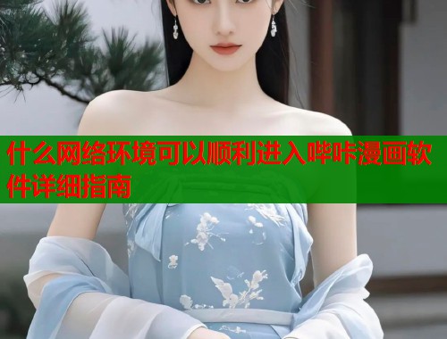 什么网络环境可以顺利进入哔咔漫画软件详细指南