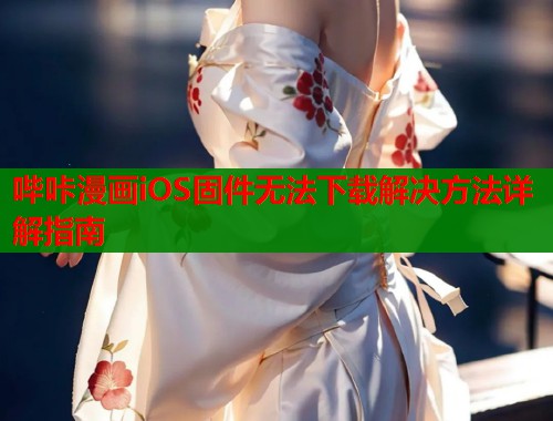 哔咔漫画iOS固件无法下载解决方法详解指南  第1张