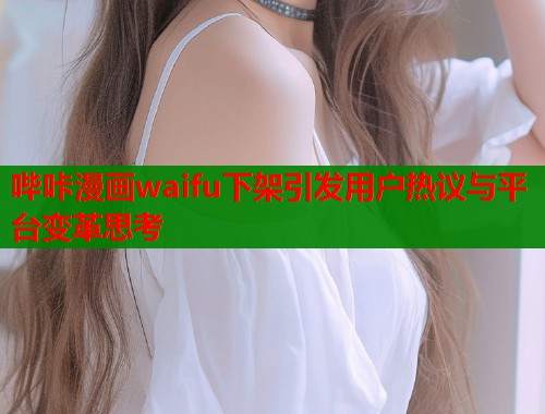 哔咔漫画waifu下架引发用户热议与平台变革思考  第1张