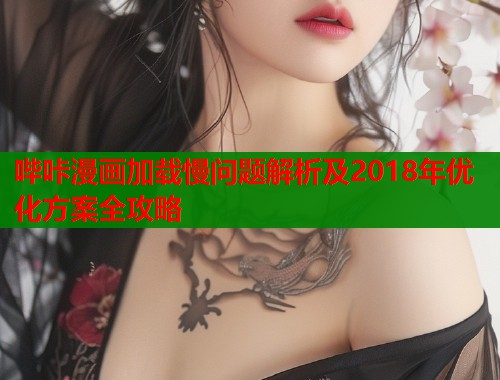 哔咔漫画加载慢问题解析及2018年优化方案全攻略  第2张