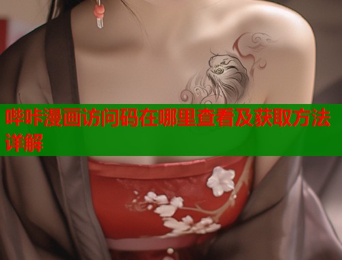 哔咔漫画访问码在哪里查看及获取方法详解