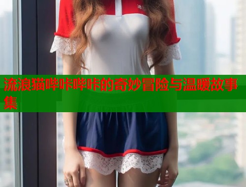 流浪猫哔咔哔咔的奇妙冒险与温暖故事集